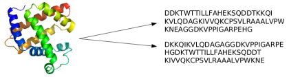 A protein to a family of sequences